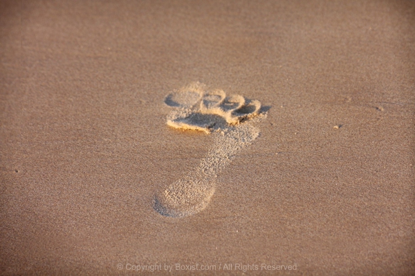 Footprint In The Sand