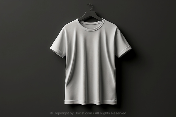 Blank White T-Shirt On Hanger