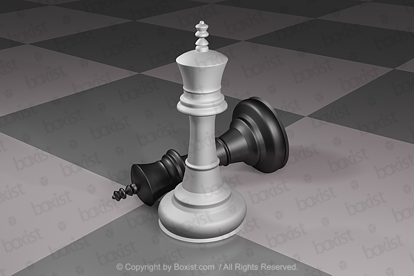 Two Pieces Of Chess Kings