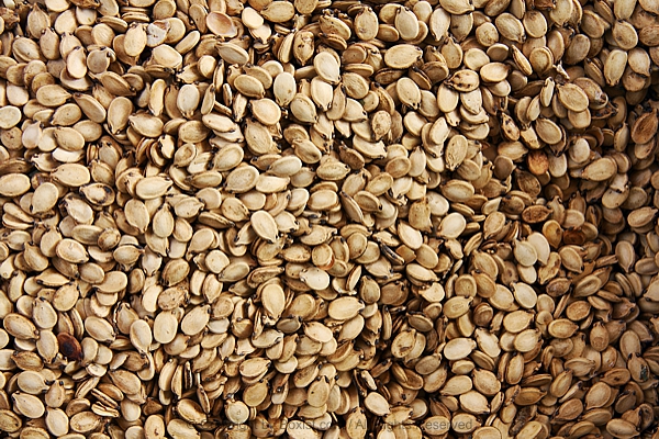 Watermelon Roasted Seeds