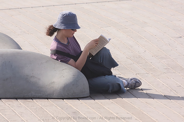 Woman Reading a Book