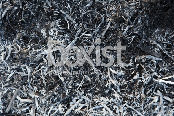 Ash Made From Burnt Grass