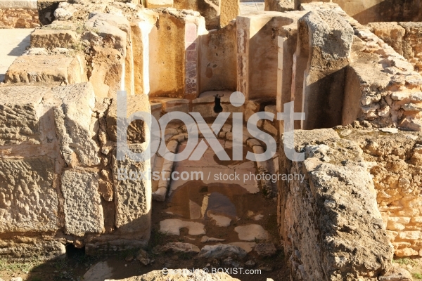 Ruins of Roman Baths from the 5th Century at Uthina