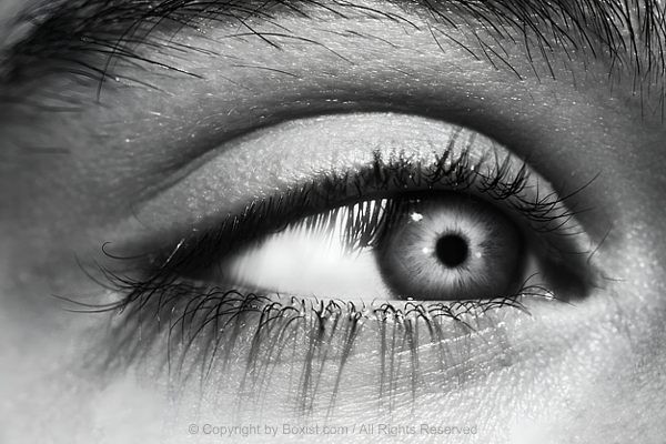 Young Girl Face And Closeup Eye In Black And White
