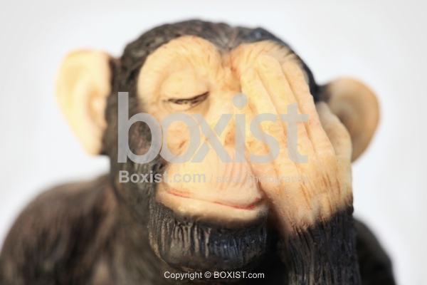 The Wise Blind Monkey