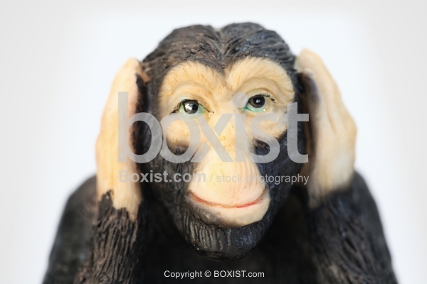 The Wise Deaf Monkey