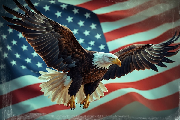 Majestic Bald Eagle in Flight Against American Flag Backdrop