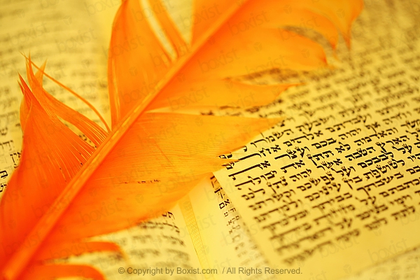 Orange Feather On Hebrew Jewish Scripture