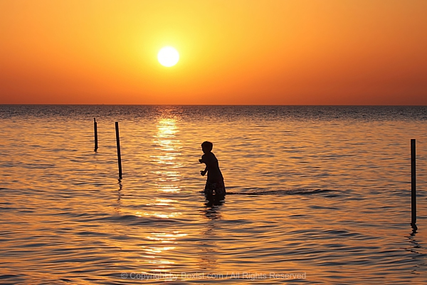 Child Silhouette Wading In Shallow Ocean During Sunset
