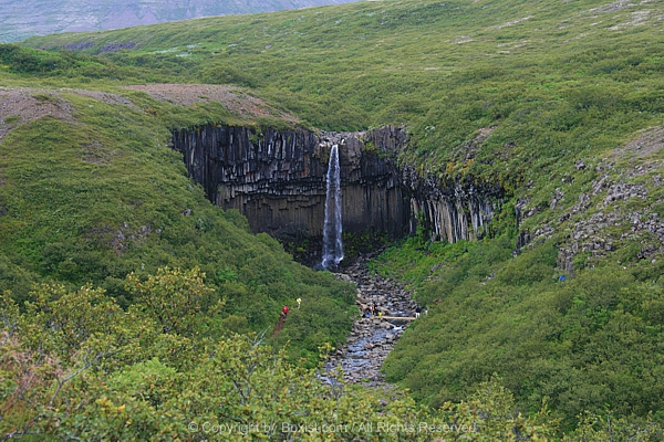Svartifoss Black Waterfall In Skaftafell Vatnajokull National Park Iceland