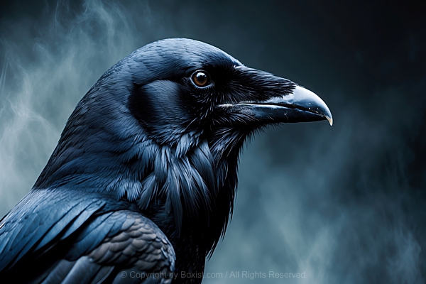 Portrait Of A Black Raven From The Side Against Black Mist Background