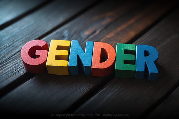 Gender Word Made Of Colorful Wooden Letters
