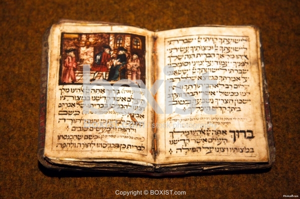 Mohel Circumcisor Book
