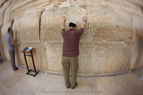 Man Praying At The Western Wall