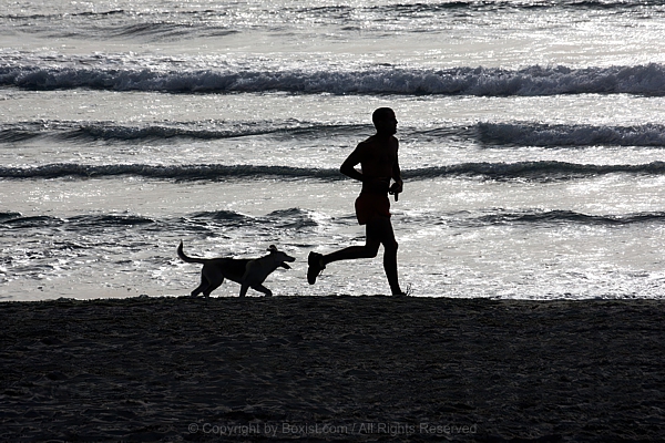 Silhouette Of Man Running With Dog On Beach