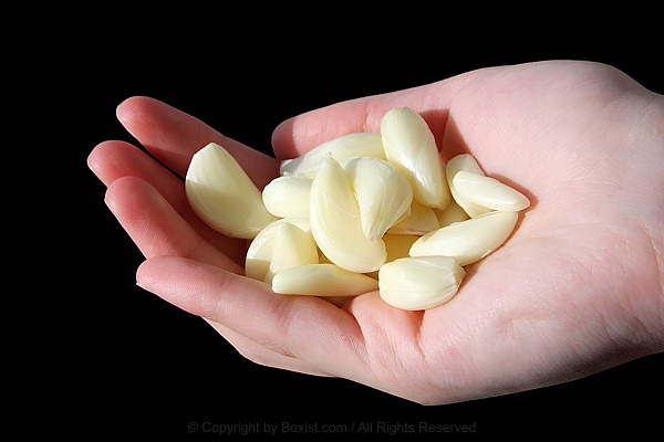 Hand Holding Bunch Of Peeled Garlic