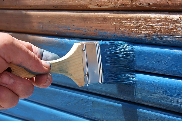 Hand Painting Wooden Surface With Brush