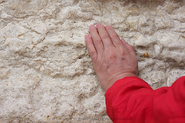 Hand Touching The Wailing Wall