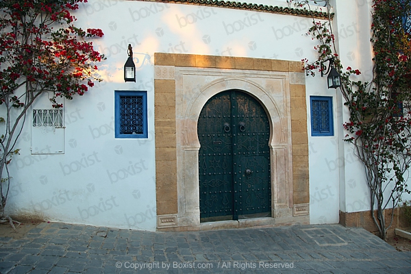 House With Ornamental Door In Tunisia