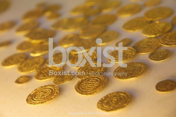 Fatimid Coin Hoard