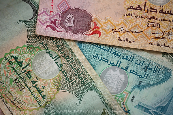 Various UAE Currency Money
