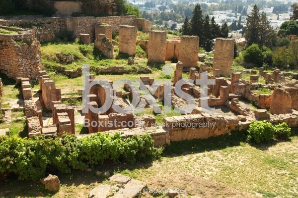 Remains on Hannibal District at Carthage