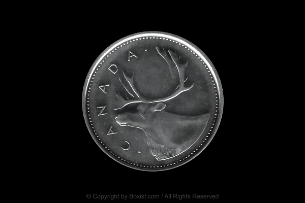 Canadian Twenty Five Cents Coin With Caribou Reindeer