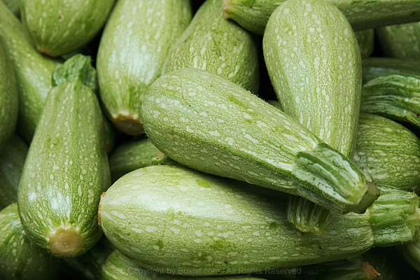 Green Fresh Zucchini Stacked Over Each Other