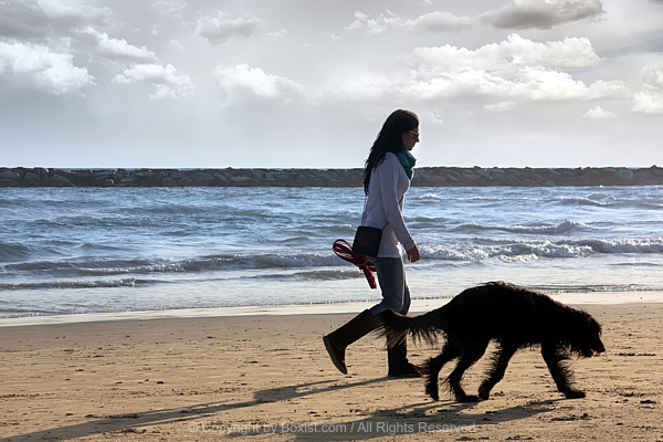Woman Walking Her Dog On Sunny Beach
