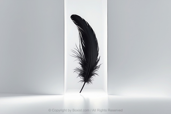 Black Feather Drifting On Bright Background