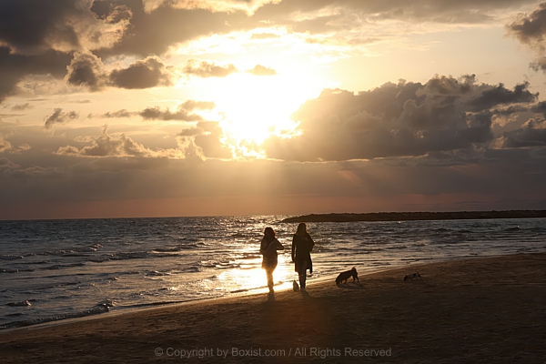 Dog Walkers Stroll Along Beach During Sunset