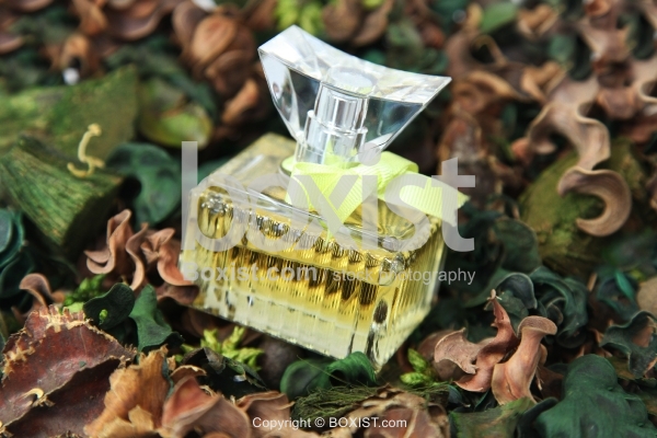 Perfume Bottle Gift