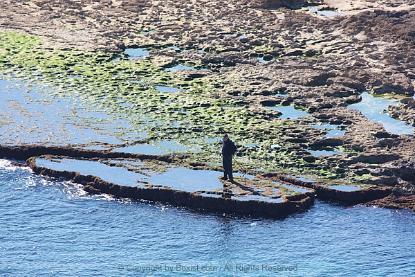 Coastal Explorer Observes Marine Life From Slippery Algae Rocks At Shoreline