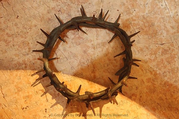 Crown Of Thorns