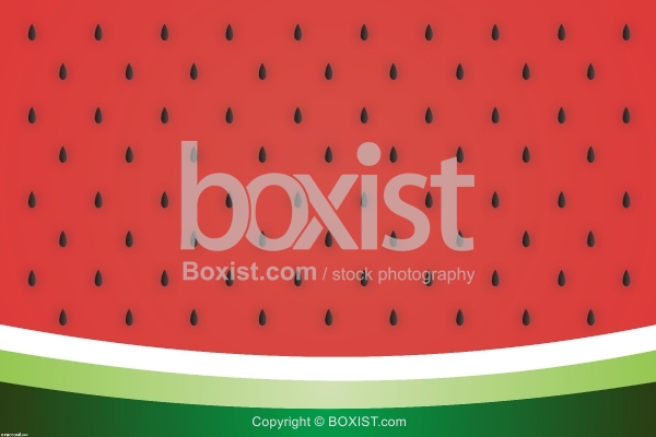 Watermelon Vector Background