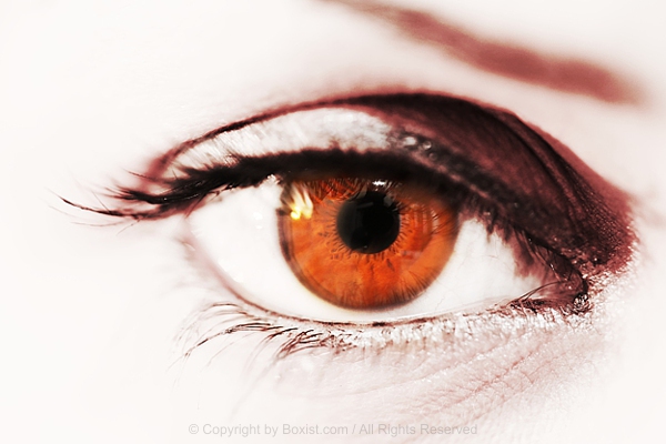 Closeup Shot Of Brown Eye With Dark Eyeliner And Long Lashes