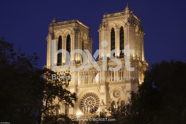 Cathedral of Notre Dame in Paris at Night