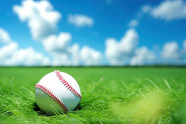 Baseball Resting On A Green Grass Field With Sky Background