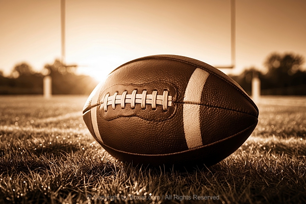 Classic Leather Football On Grass Field