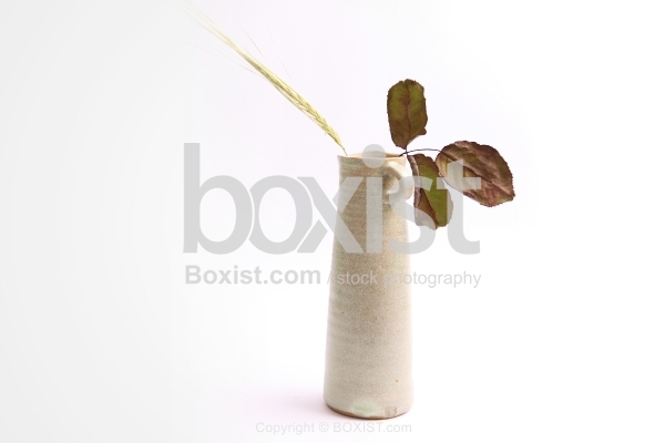 Simple Vase With Dry Leaves