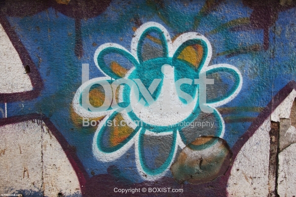 Flower Graffiti
