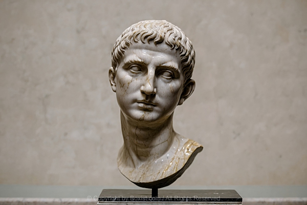 Marble Portrait Head Of The Emperor Augustus