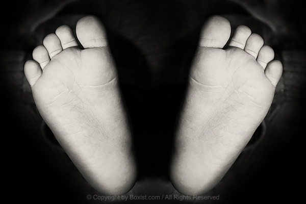 Adorable Baby Feet Soles Facing Viewer In Black And White