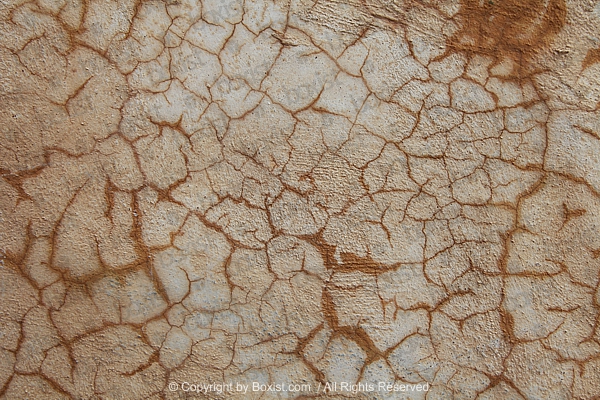 Cracked Wet Stone Surface