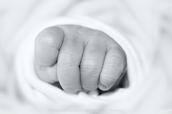 Little Baby Hand Clenched Into Fist