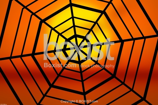 Spiderweb Silhouette At Sunset