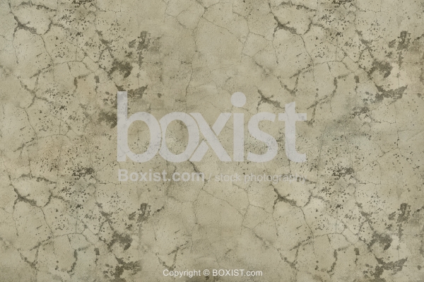 Peeled And Cracked Wall