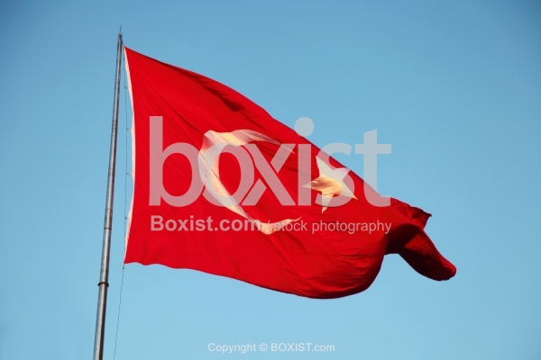 Waving Red Flag Of Turkey