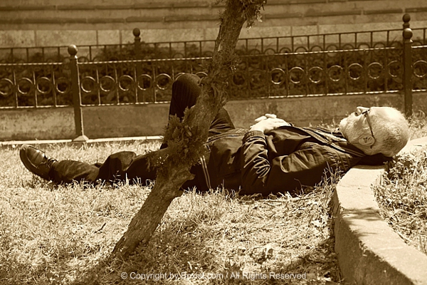 Elderly Man Lies Relaxed On Grass Near Shady Tree