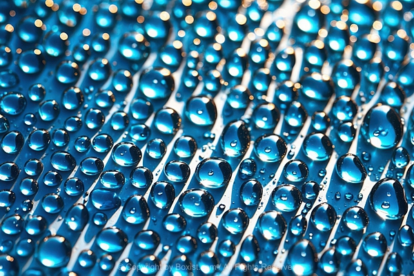 Macro Of Vibrant Blue Numerous Water Droplets On Smooth Surface